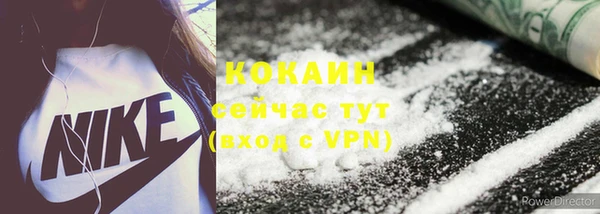 шишки Нягань