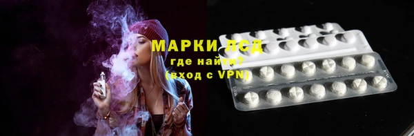 apvp Алзамай