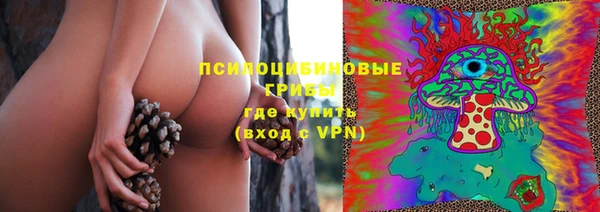 героин Алексин