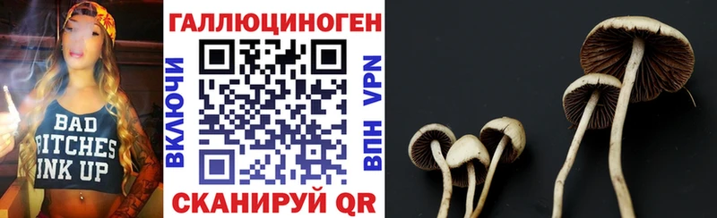 Галлюциногенные грибы MAGIC MUSHROOMS  kraken онион  Ладушкин 